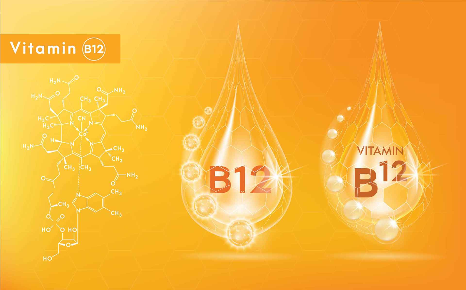Read more about the article B12 Vitamins